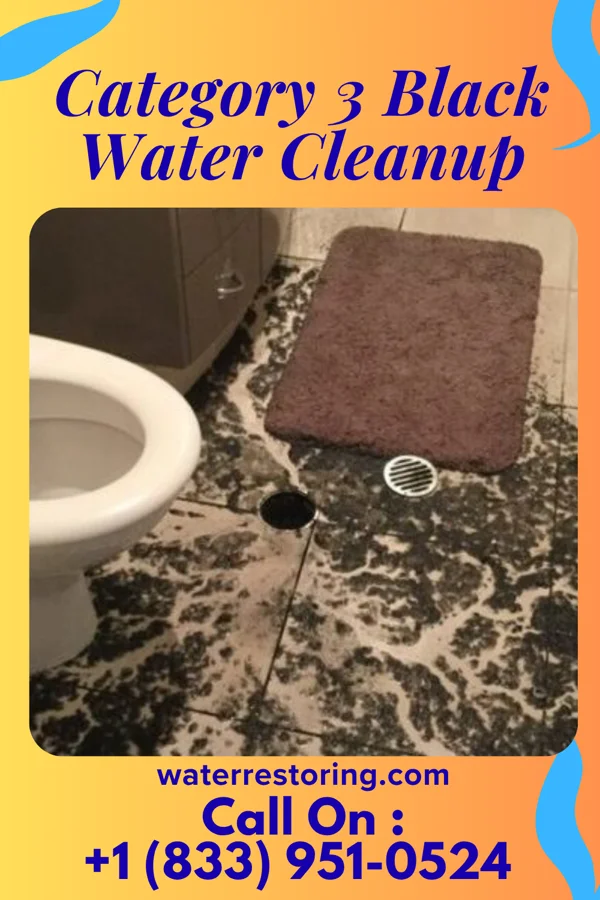 Category 3 Black Water Cleanup in Sellersville, PA