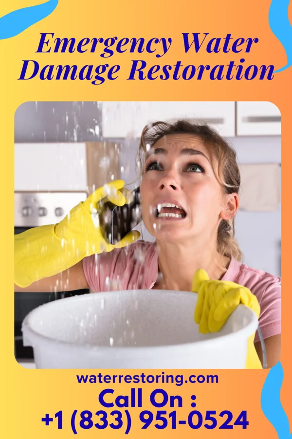 Emergency Water Damage Restoration in Sellersville, PA